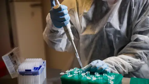 Pfizer inicia un estudio de un fármaco oral contra el coronavirus en Estados Unidos Pfizer inicia un estudio de un fármaco oral contra el coronavirus en Estados Unidos