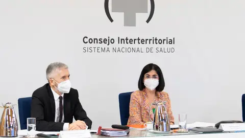 Carolina Darias y Fernando Grande Marlaska, en el Consejo Interterritorial de Salud Coronavirus