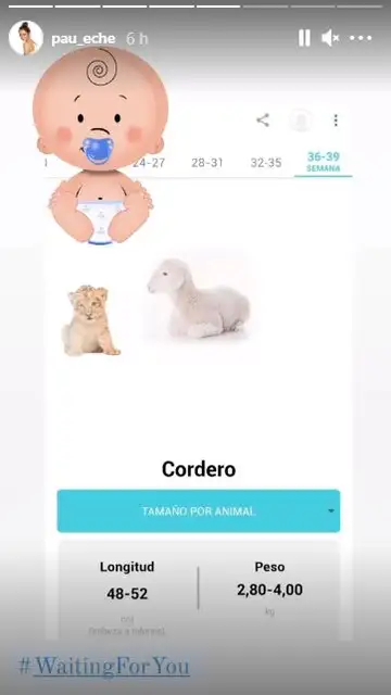 Así es ya de grande el hijo de Paula Echevarría Así es ya de grande el hijo de Paula Echevarría