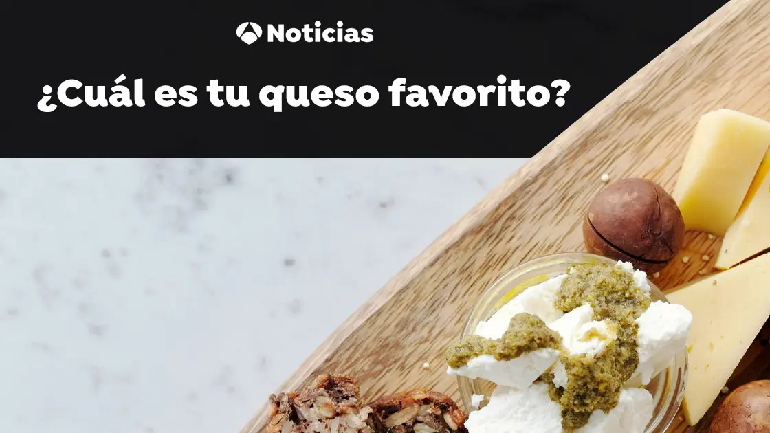 D&iacute;a Mundial del Queso 2021: &iquest;Cu&aacute;l es tu queso favorito?