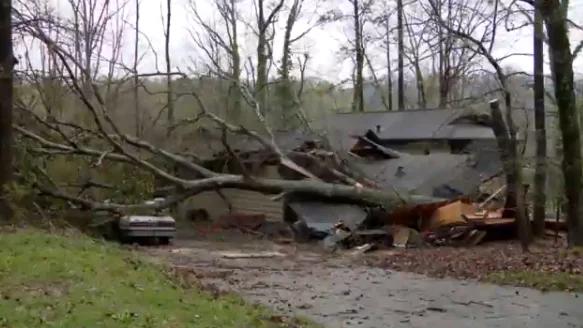 Al menos 5 muertos y decenas de heridos tras el paso de varios tornados en Alabama, Estados Unidos Al menos 5 muertos y decenas de heridos tras el paso de varios tornados en Alabama, Estados Unidos
