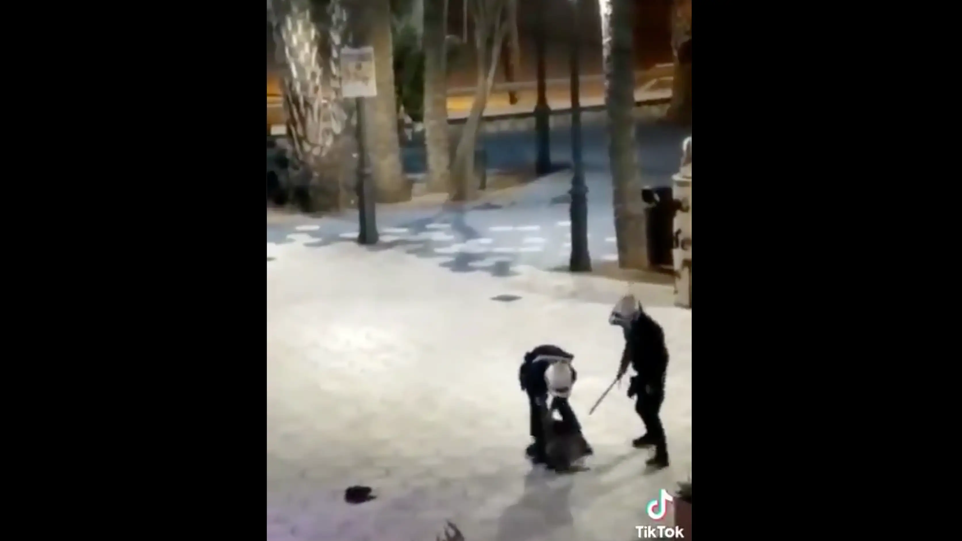 Imagen capturada de la actuación policial en Benidorm Imagen capturada de la actuación policial en Benidorm