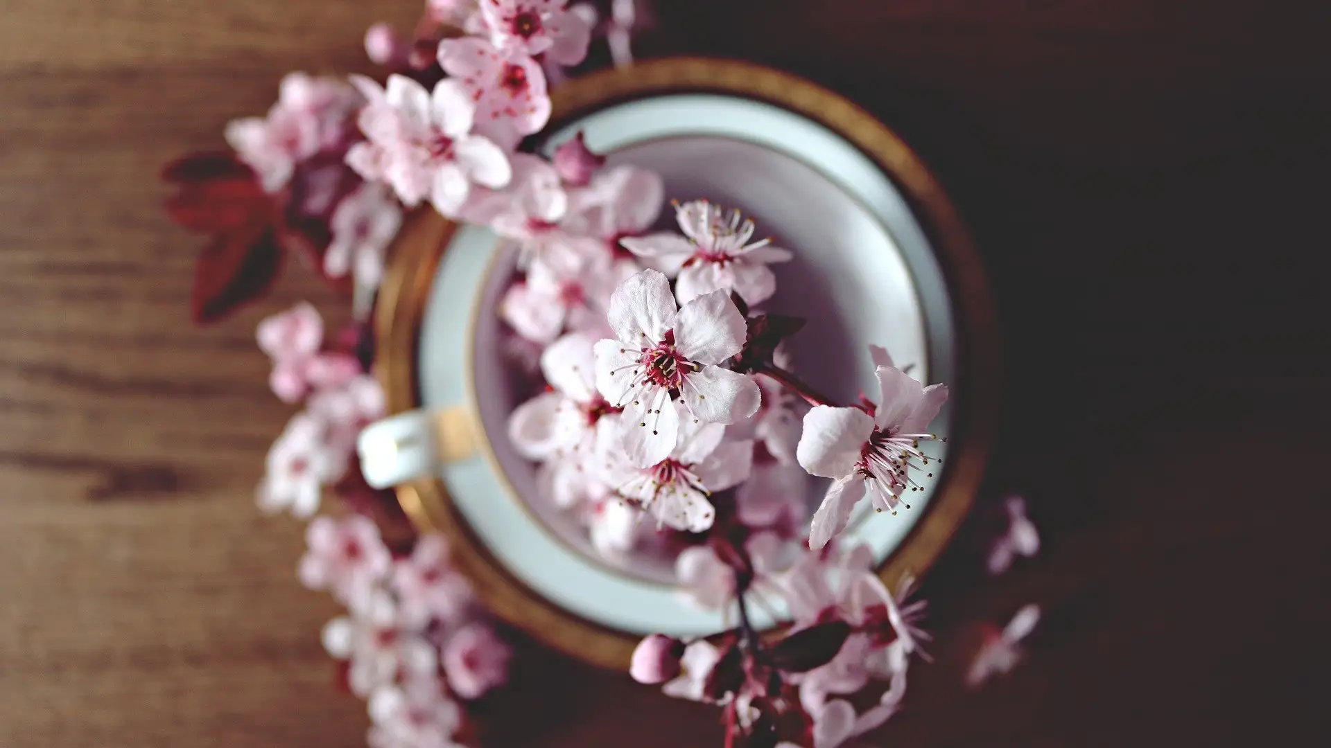 Psicología: La primavera la sangre altera Psicología: La primavera la sangre altera