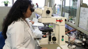 Analizando ADN (archivo)