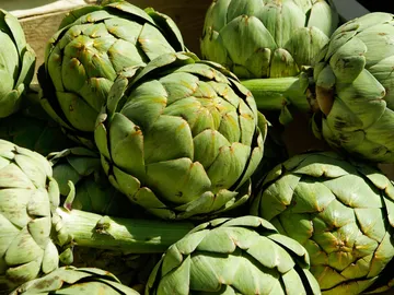 Pon una alcachofa en tu dieta Pon una alcachofa en tu dieta