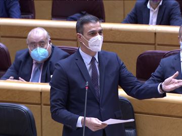 Pedro Sánchez, en la sesión de control al Gobierno del Senado