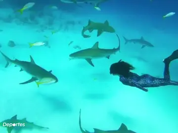 Ariadna Hafez, apneísta y modelo subacuática: "He buceado con tiburones, delfines y ballenas" Ariadna Hafez, apneísta y modelo subacuática: "He buceado con tiburones, delfines y ballenas"