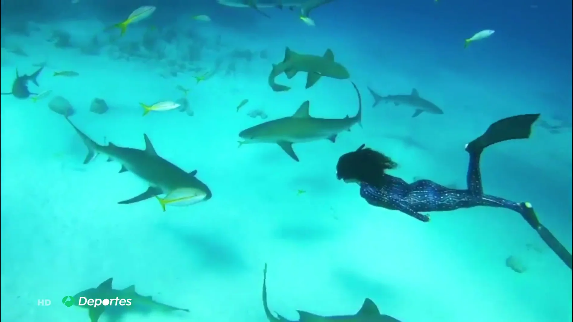 Ariadna Hafez, apneísta y modelo subacuática: "He buceado con tiburones, delfines y ballenas"