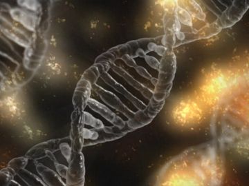 Descubren los tres factores epigenéticos que podrían predecir la gravedad del coronavirus