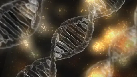 Descubren los tres factores epigenéticos que podrían predecir la gravedad del coronavirus Descubren los tres factores epigenéticos que podrían predecir la gravedad del coronavirus