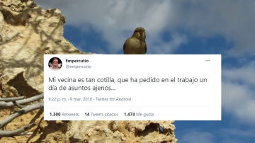 Tuit de @empercutio