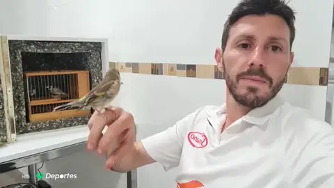 El campeón 'Chiki' Pérez y su pasión por los jilgueros: "Es mi vía de escape, pero los Juegos Olímpicos están por encima" El campeón 'Chiki' Pérez y su pasión por los jilgueros: "Es mi vía de escape, pero los Juegos Olímpicos están por encima"