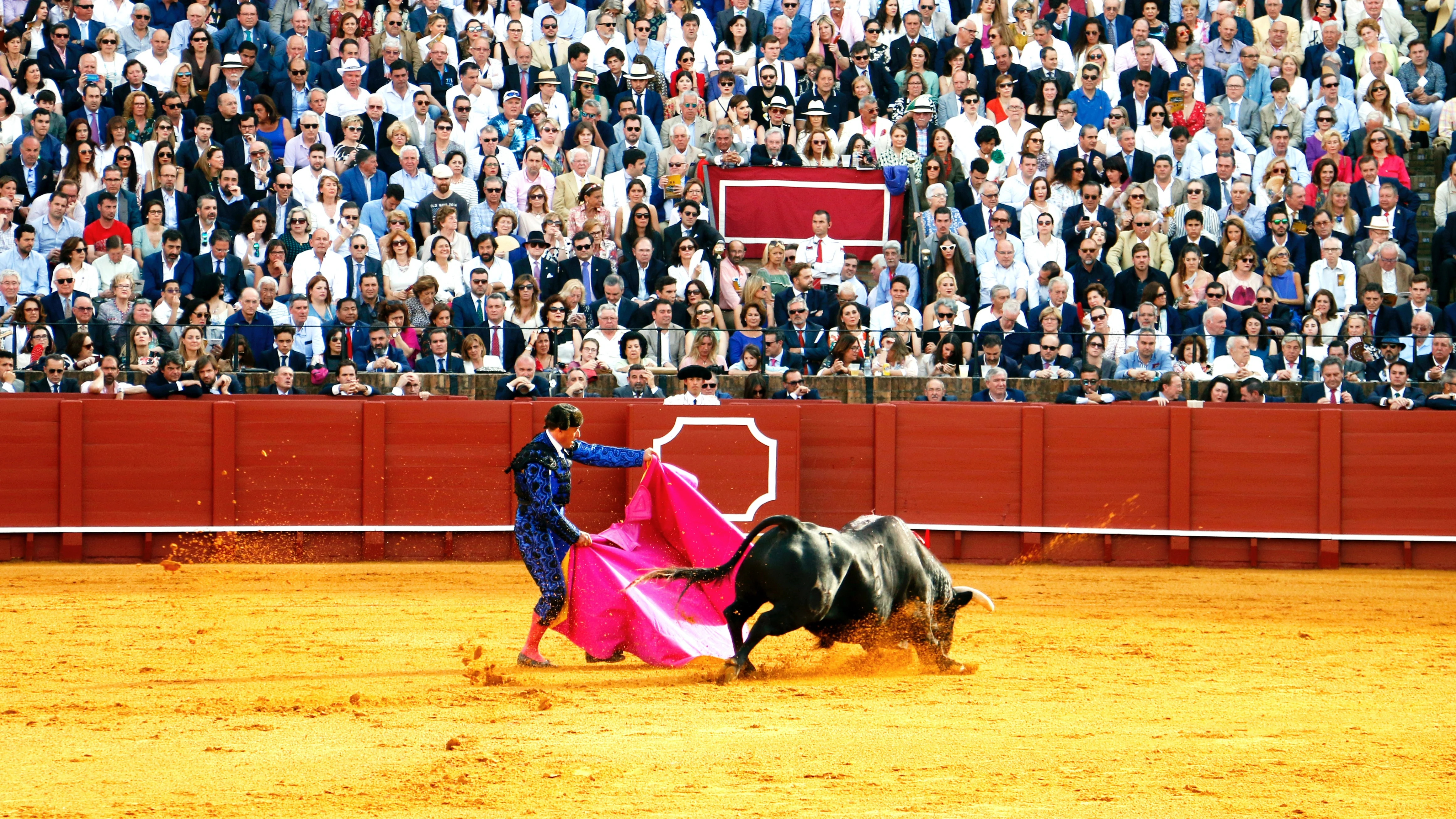 Plaza de toros Plaza de toros