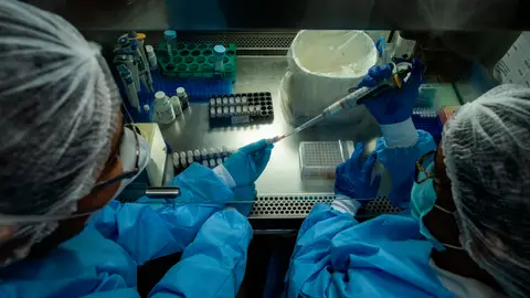 Laboratorio en el que se investiga la cepa brasileña Laboratorio en el que se investiga la cepa brasileña