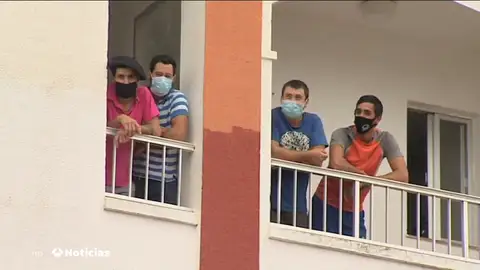 Un grupo de 25 esquiladores uruguayos, sospechoso de estar contagiados de la cepa brasileña, aislados en Badajoz Un grupo de 25 esquiladores uruguayos, sospechoso de estar contagiados de la cepa brasileña, aislados en Badajoz