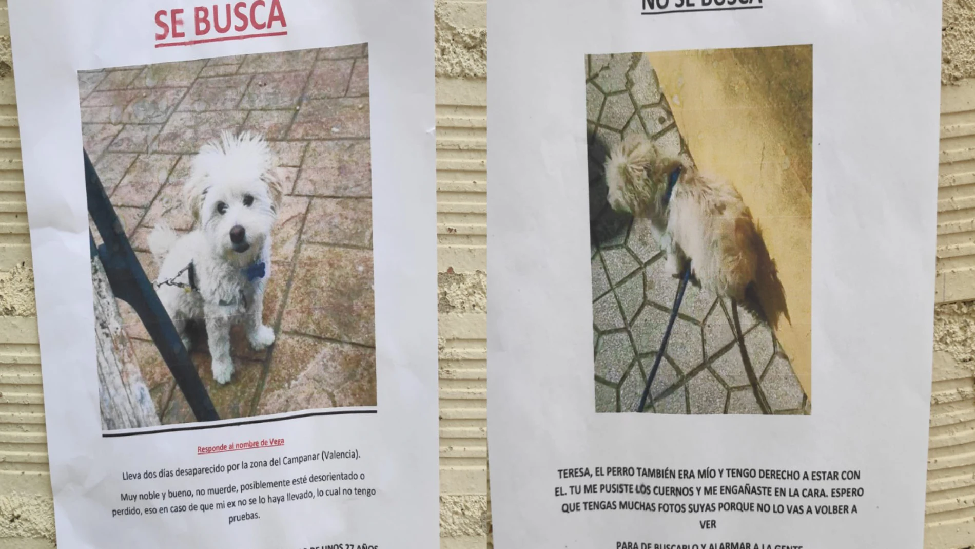 La guerra de carteles viral de una pareja por la custodia de su perro: &quot;También es mío&quot;