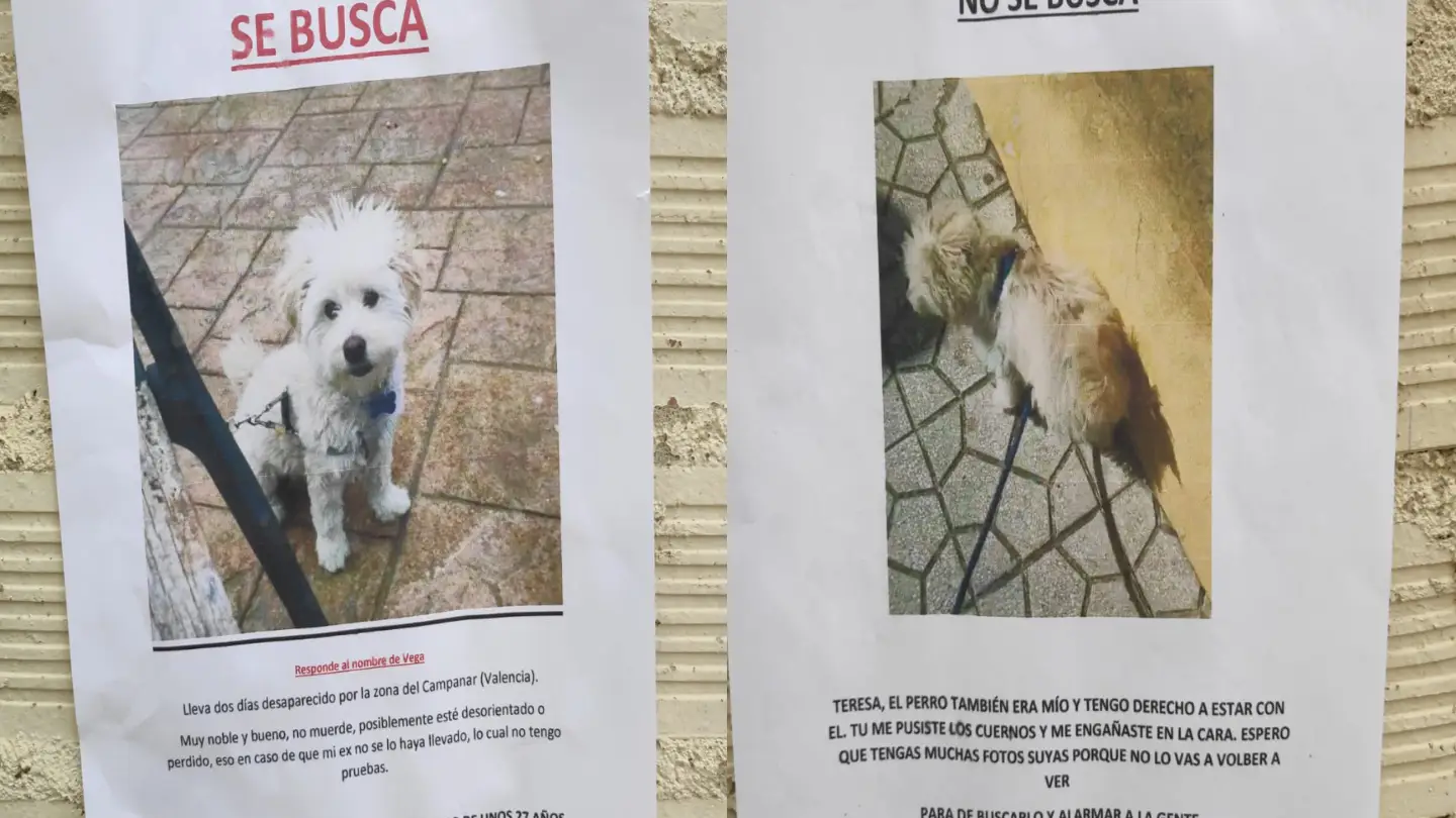 La guerra de carteles viral de una pareja por la custodia de su perro: "También es mío" La guerra de carteles viral de una pareja por la custodia de su perro: "También es mío"