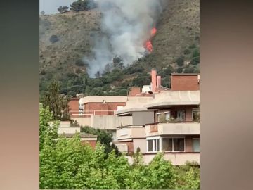 Se declara un incendio forestal en Collserola visible desde Barcelona