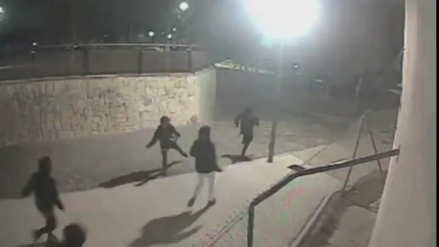 13 detenidos por una brutal agresi&oacute;n hom&oacute;foba en Alicante a golpes y gritos de "maricones os vamos a matar"