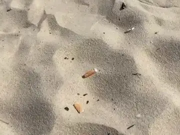 Imagen archivo colillas en la playa
