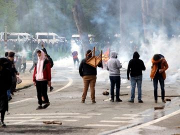 Varias personas en el Bois de la Cambre en Bruselas