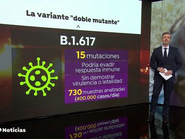 Así es la doble variante del coronavirus india que podría ser resistente a los anticuerpos o las vacunas