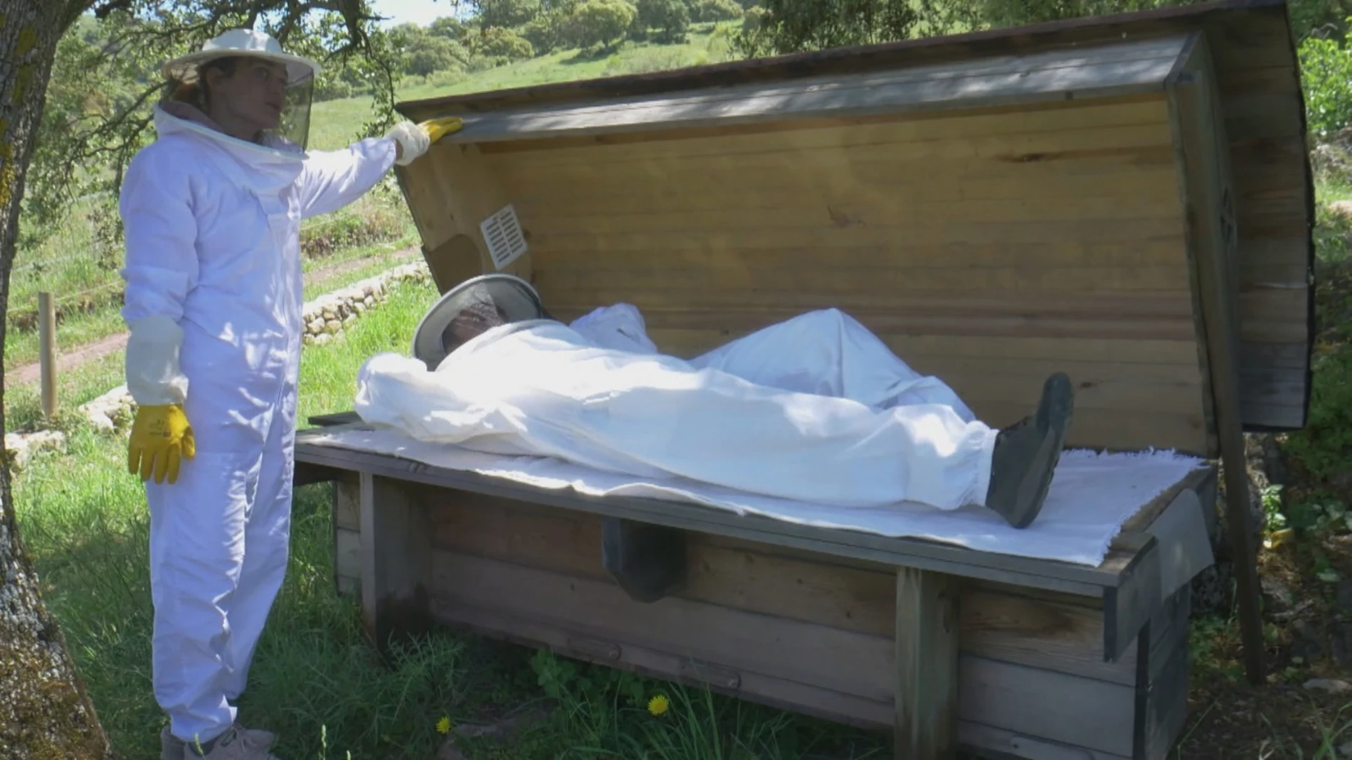 La 'cama de abejas', acostarse sobre una colmena como nuevo método de relajación 