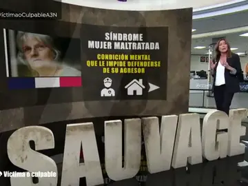 Jacqueline Sauvage y el 'síndrome de la mujer maltratada' Jacqueline Sauvage y el 'síndrome de la mujer maltratada'