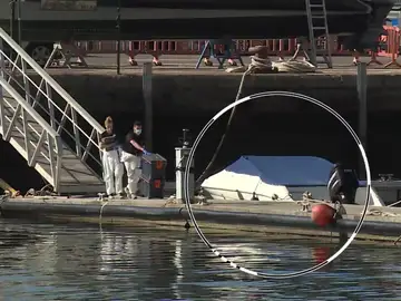Los restos de sangre hallados en el barco son de Tomás Gimeno, el padre desaparecido junto a sus dos hijas Los restos de sangre hallados en el barco son de Tomás Gimeno, el padre desaparecido junto a sus dos hijas