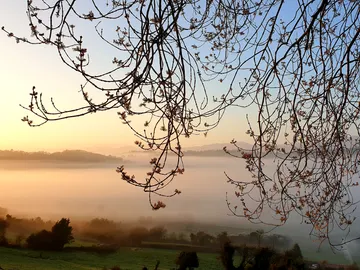 Vota por tu foto favorita del mes de mayo Vota por tu foto favorita del mes de mayo