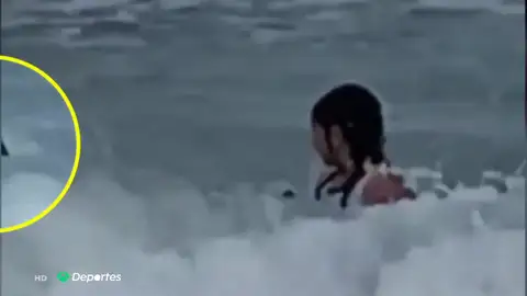 Niña se topa con un tiburón en Hawái Niña se topa con un tiburón en Hawái