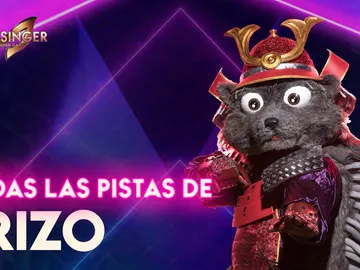 Pistas y teorías sobre el Erizo de 'Mask Singer' Pistas y teorías sobre el Erizo de 'Mask Singer'