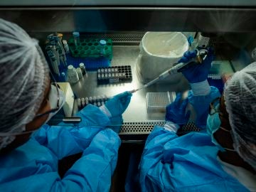 Laboratorio en el que se investigan distintas cepas del coronavirus