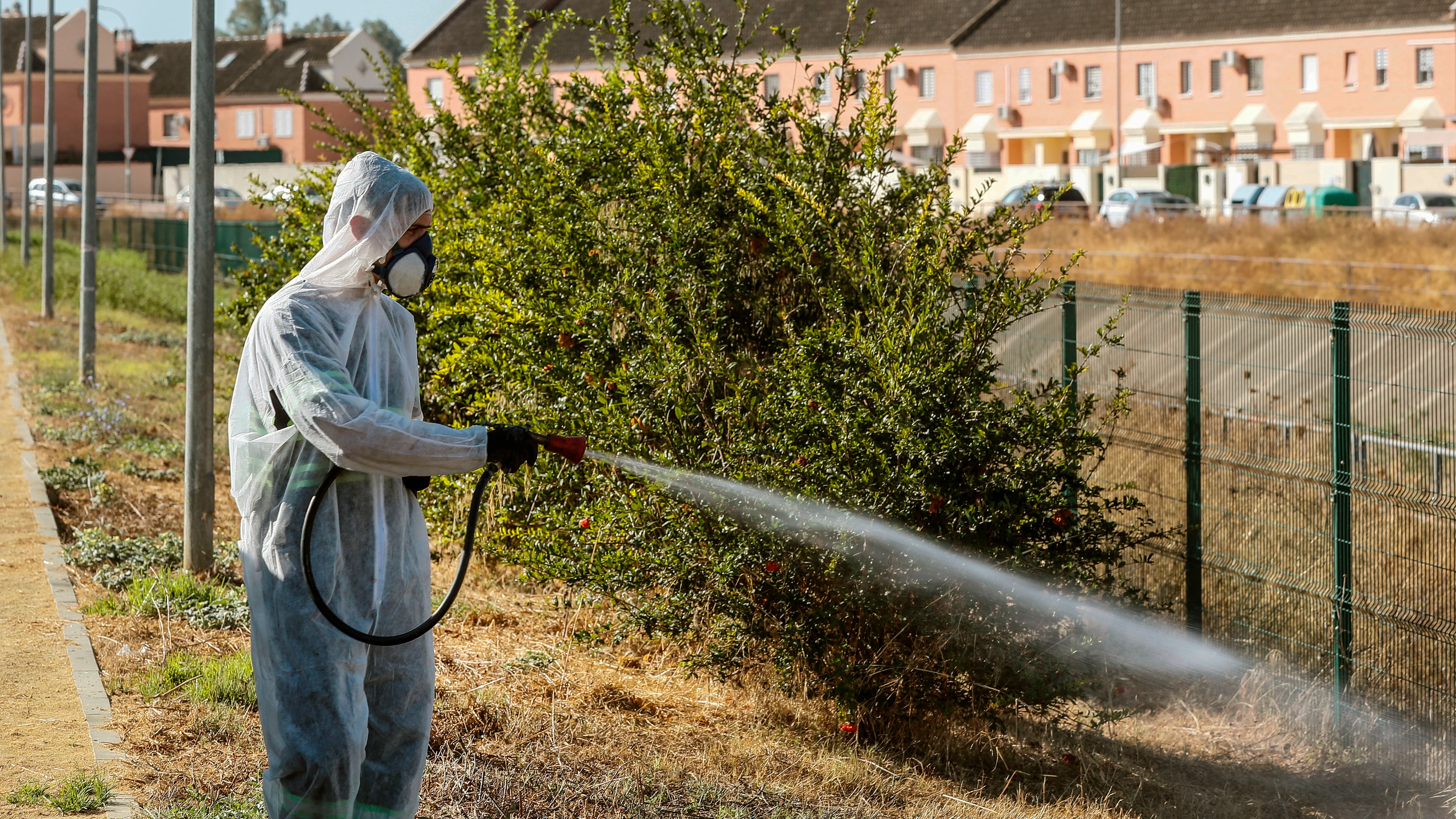 Las autoridades sanitarias están detectando un aumento "sin precedentes" del virus del NiloLas autoridades sanitarias están detectando un aumento "sin precedentes" del virus del Nilo Las autoridades sanitarias están detectando un aumento "sin precedentes" del virus del Nilo