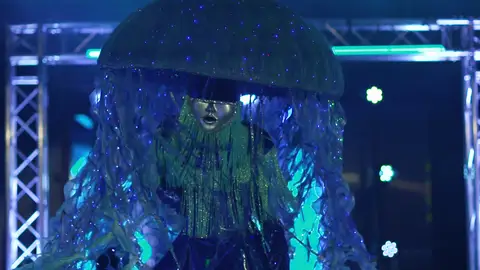 La Medusa enloquece a los investigadores al hablar en inglés: ¿será una superestrella? La Medusa enloquece a los investigadores al hablar en inglés: ¿será una superestrella?