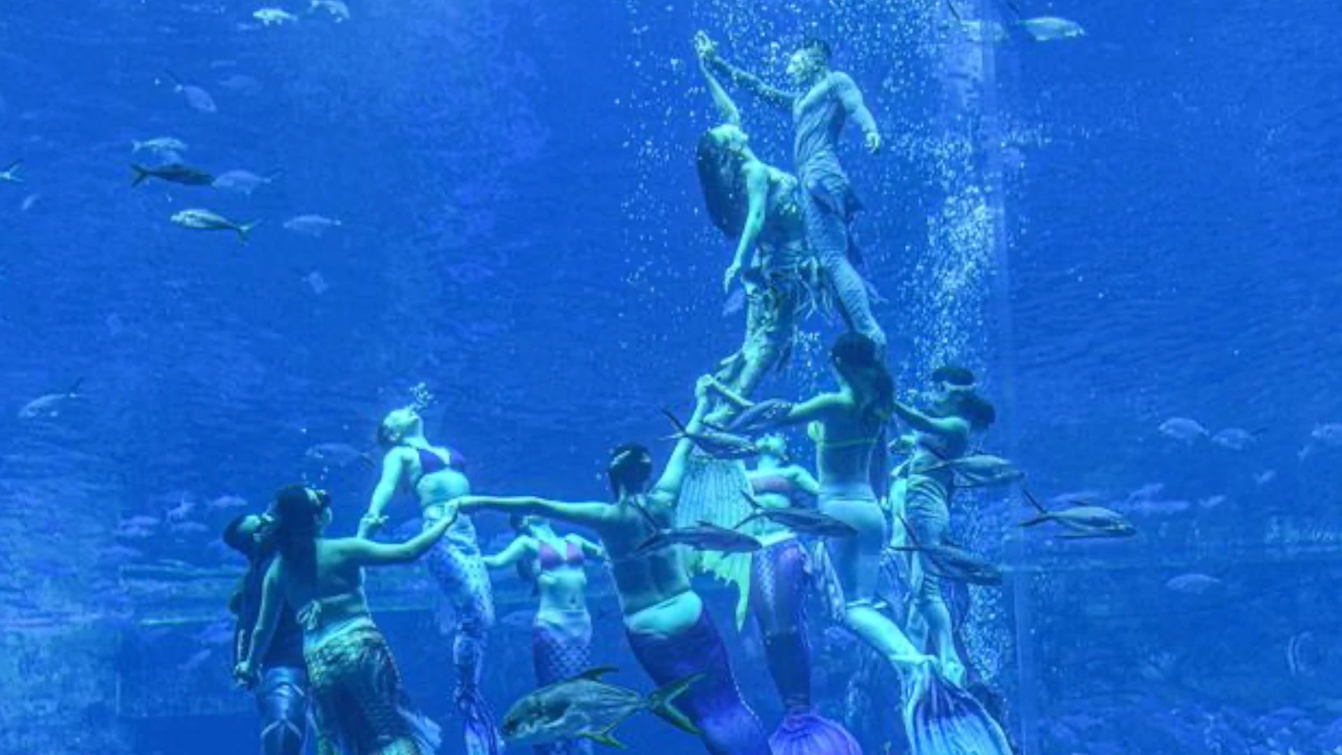 Se bate en China el récord de mermaiding, la apnea con cola de sirena que se está poniendo de moda Se bate en China el récord de mermaiding, la apnea con cola de sirena que se está poniendo de moda