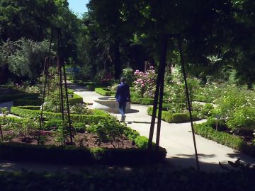 Jardín botánico de Madrid