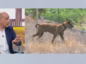 Nacho Abad. Nacho Abad.