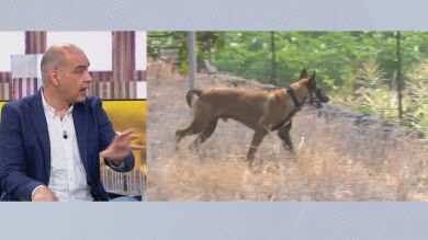 Nacho Abad analiza qué significa la tierra removida en la finca del padre de las niñas desaparecidas de Tenerife