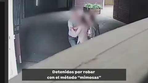 Los Mossos D'Esquadra desarticulan una organización criminal. Los Mossos D'Esquadra desarticulan una organización criminal.