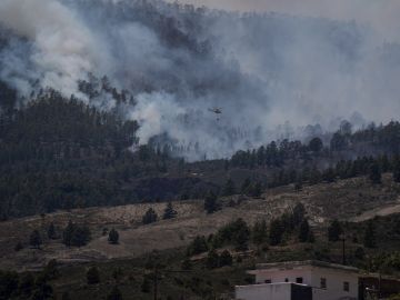 Medios aéreos se han incorporado las labores de extinción del incendio forestal que ha comenzado esta mañana en el barranco de Chajaña, en el municipio tinerfeño de Arico, y que se desplaza hacia la cumbre de la isla
