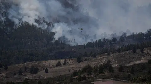 Medios aéreos se han incorporado las labores de extinción del incendio forestal que ha comenzado esta mañana en el barranco de Chajaña, en el municipio tinerfeño de Arico, y que se desplaza hacia la cumbre de la isla Medios aéreos se han incorporado las labores de extinción del incendio forestal que ha comenzado esta mañana en el barranco de Chajaña, en el municipio tinerfeño de Arico, y que se desplaza hacia la cumbre de la isla