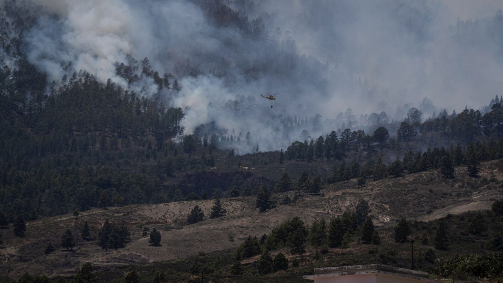 El incendio forestal declarado en Arico, Tenerife, se desplaza hacia la cumbre de la isla
