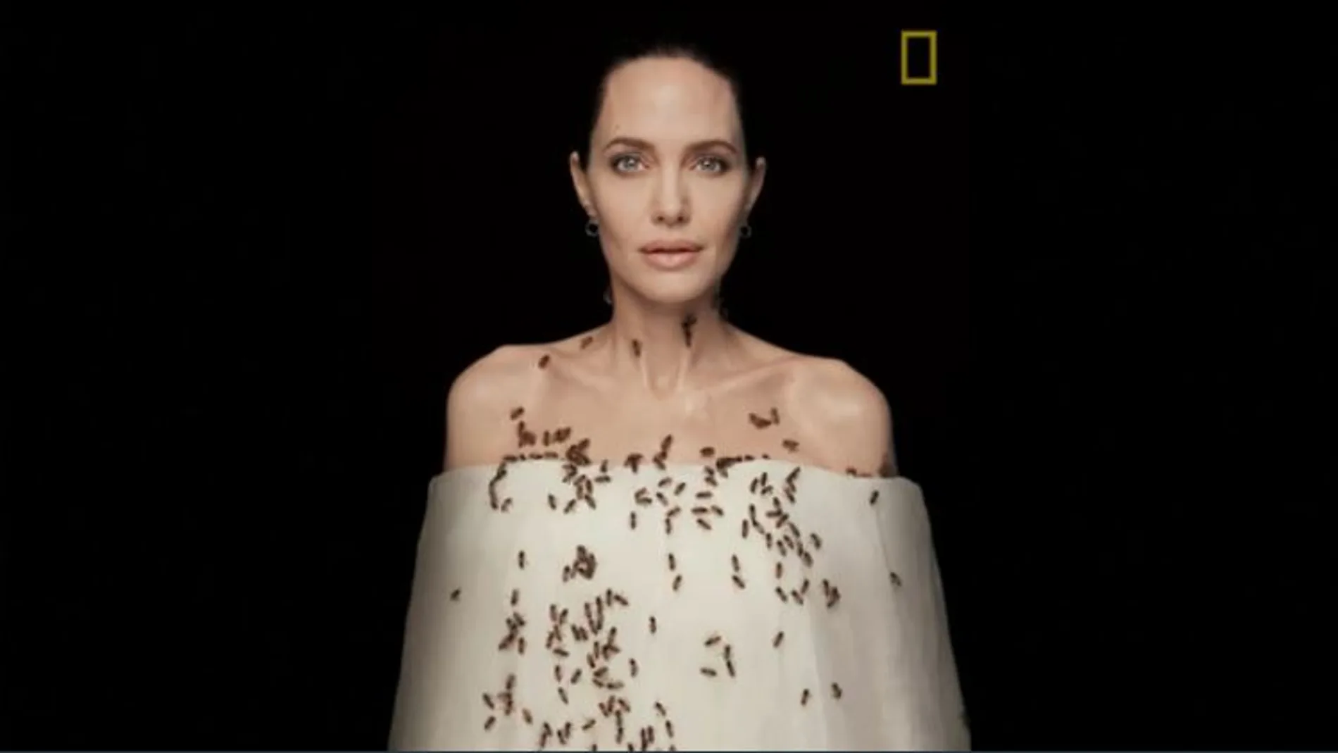 La actriz Angelina Jolie repleta de abejas
