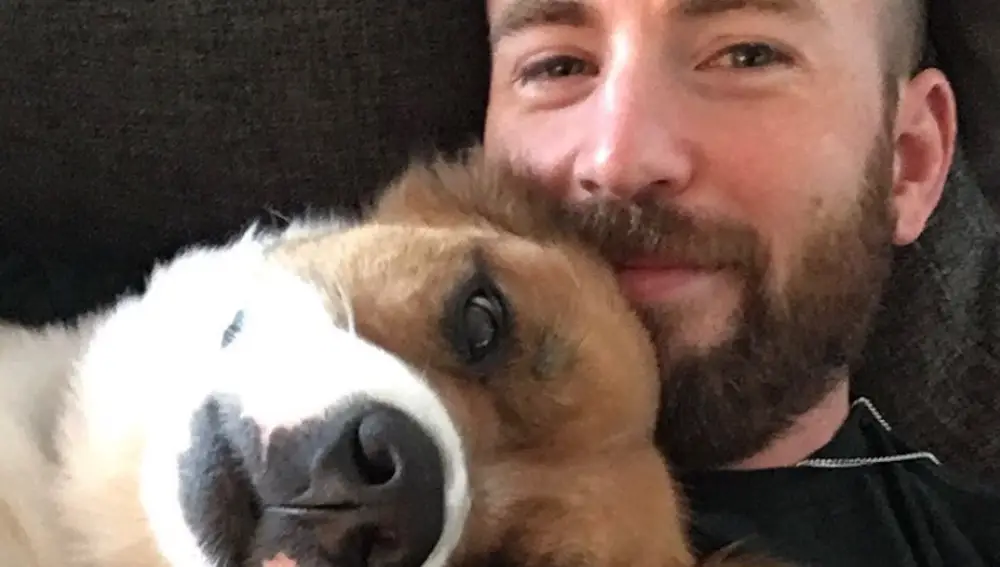 Chris Evans y su perro Dodger Chris Evans y su perro Dodger