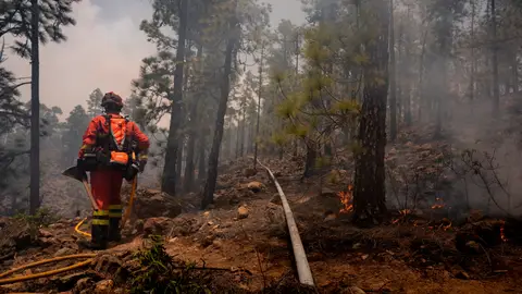 Las llamas del incendio de Tenerife llegan al Parque del Teide Las llamas del incendio de Tenerife llegan al Parque del Teide