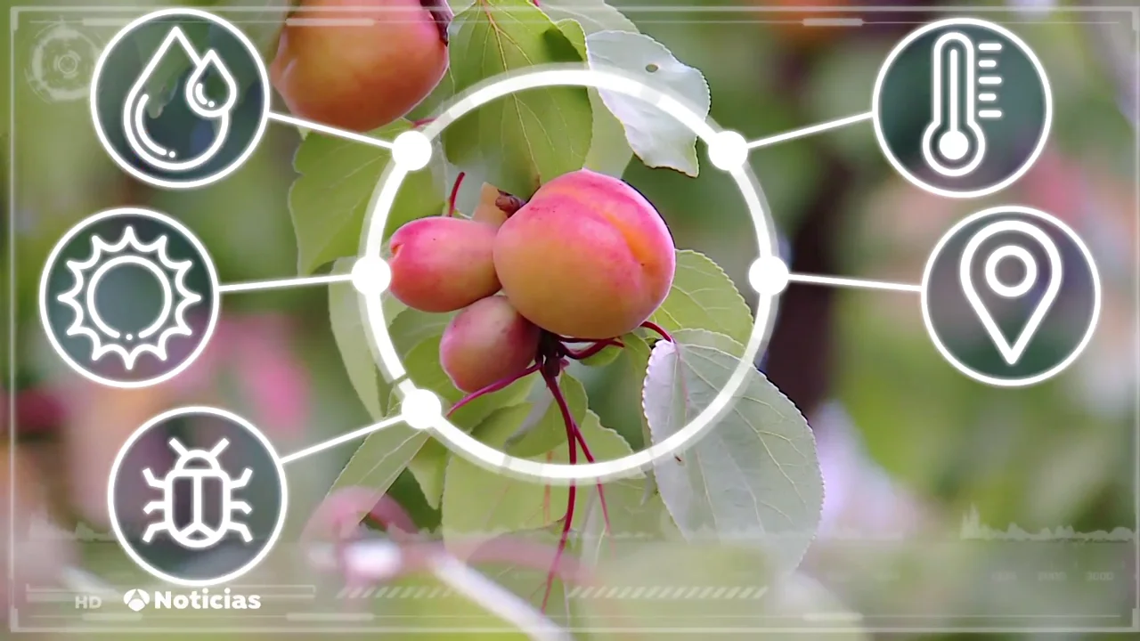 La tecnología, la mejor aliada de los agricultores para mejorar sus cultivos La tecnología, la mejor aliada de los agricultores para mejorar sus cultivos