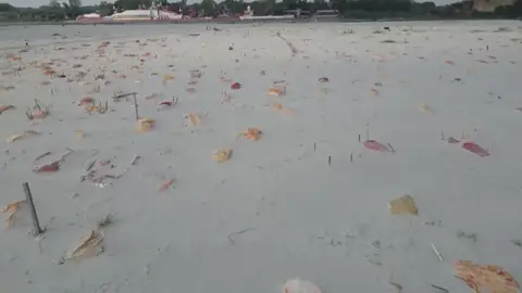 La India convierte la orilla del río Ganges en un inmenso cementerio de muertos por coronavirus La India convierte la orilla del río Ganges en un inmenso cementerio de muertos por coronavirus