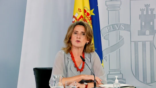 La ministra para la Transición Ecológica, Teresa Ribera La ministra para la Transición Ecológica, Teresa Ribera