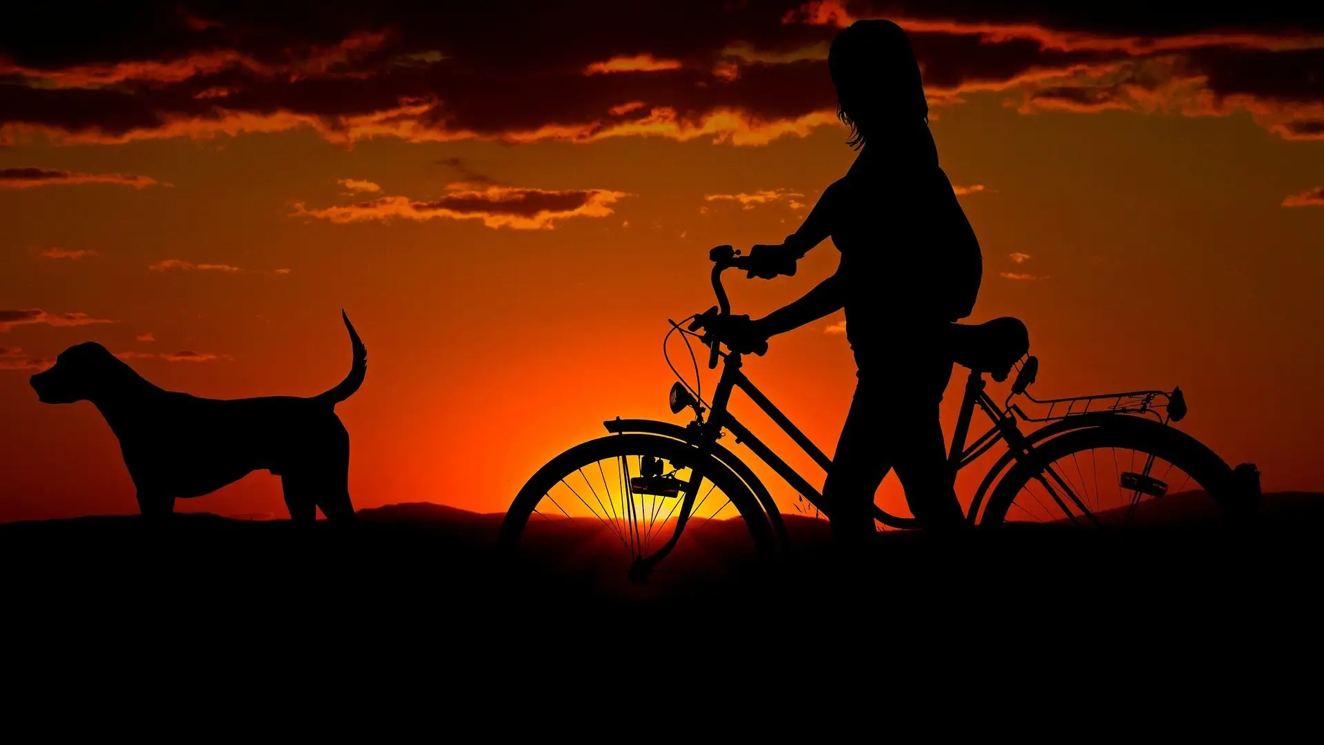 Día Mundial de la Bicicleta 2021: Cómo solicitar una ayuda para comprar tu bicicleta Día Mundial de la Bicicleta 2021: Cómo solicitar una ayuda para comprar tu bicicleta